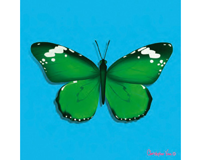 Geschenkkarte - Butterfly grün