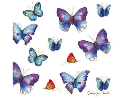 Geschenkkarte - Blue Butterdlys